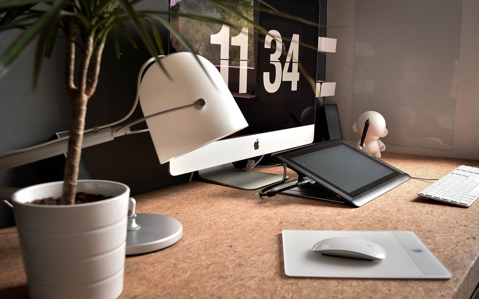 Monitor, lampa və bitki olan müasir iş yeri